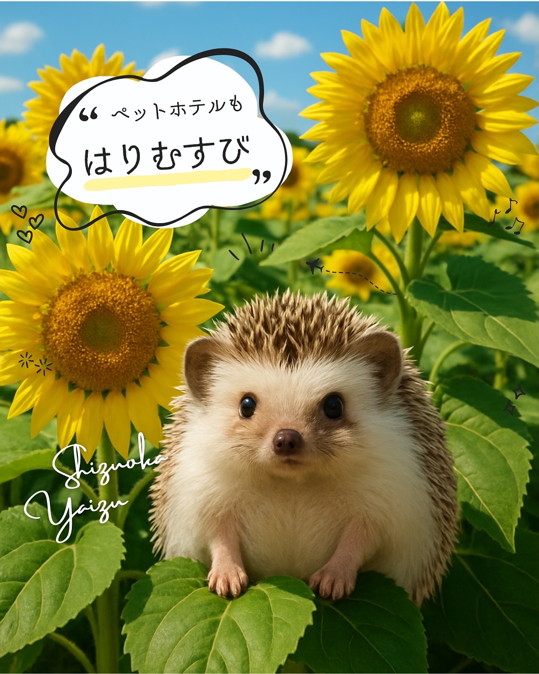 ペットホテル夏休み料金について