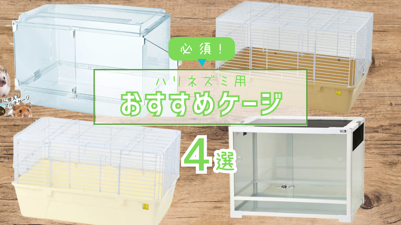 【再掲】ハリネズミ向け飼育ケージおすすめ4選
